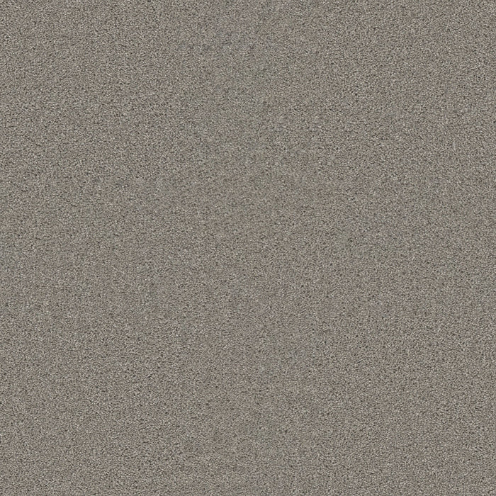DreamWeaver - SP251 - Carpet