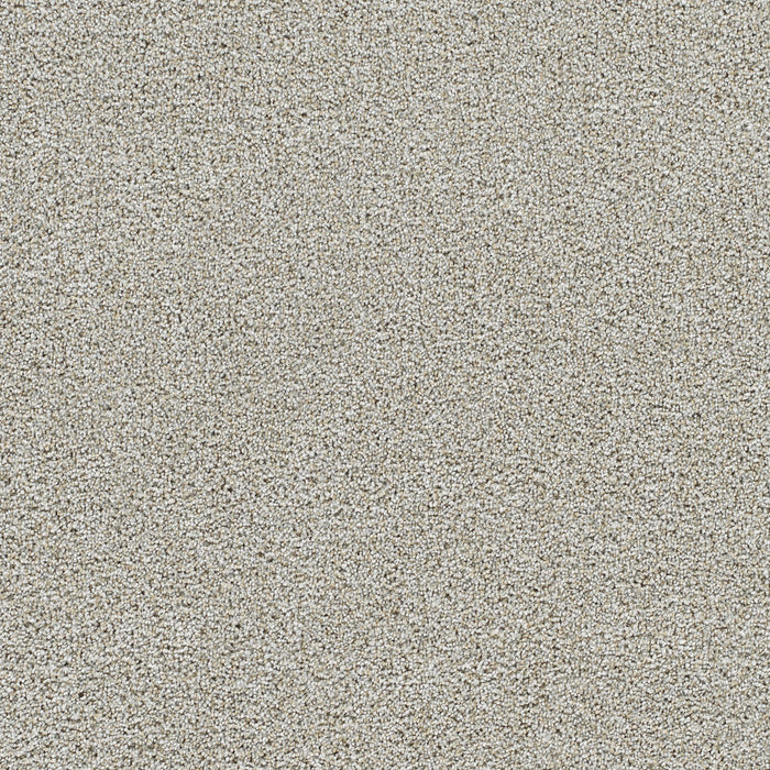 DreamWeaver - Silver Lining IV - Carpet