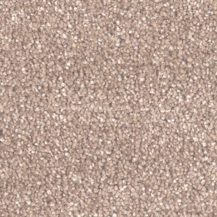 DreamWeaver - Star Struck - Carpet