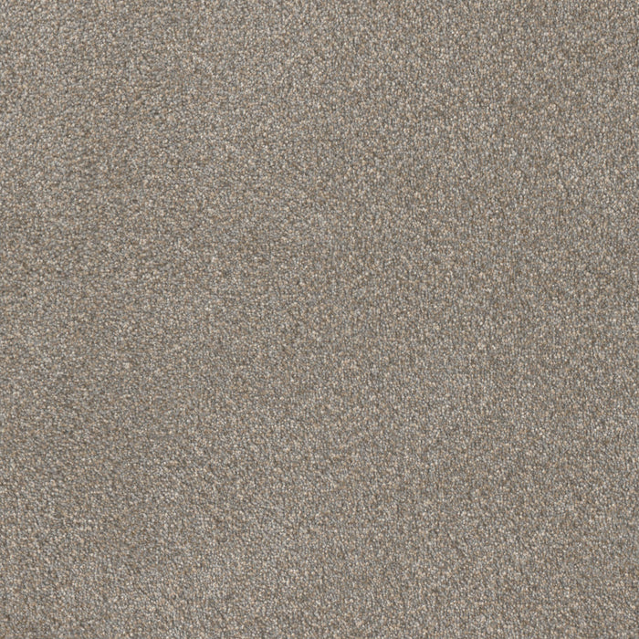 DreamWeaver - Star Struck - Carpet