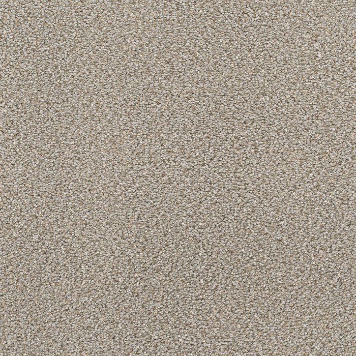 DreamWeaver - Star Struck - Carpet