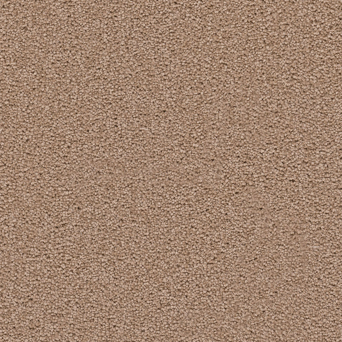 DreamWeaver - Star Struck - Carpet