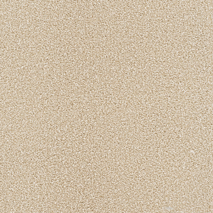 DreamWeaver - Star Struck - Carpet