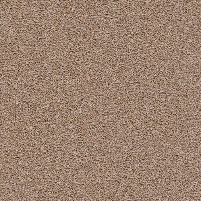 DreamWeaver - Star Struck - Carpet