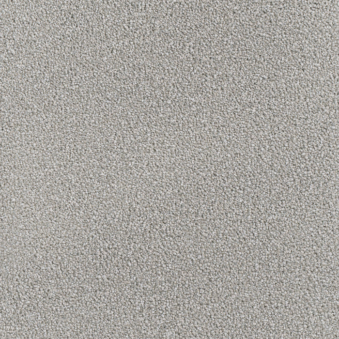 DreamWeaver - Star Struck - Carpet