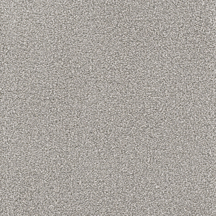 DreamWeaver - Star Struck - Carpet