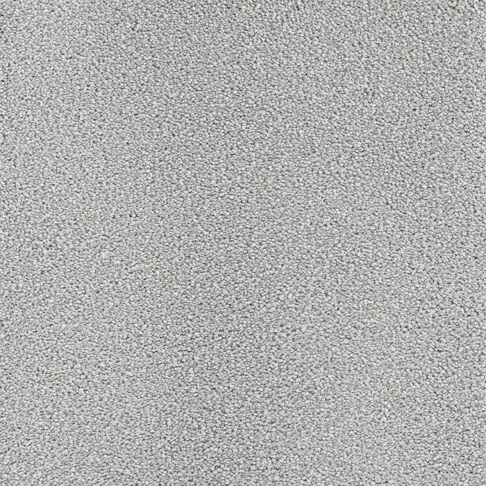 DreamWeaver - Star Struck - Carpet