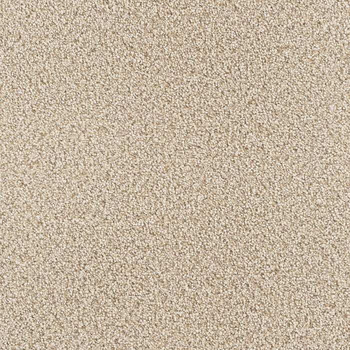 DreamWeaver - Star Struck - Carpet