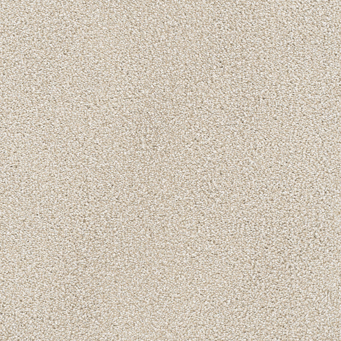 DreamWeaver - Star Struck - Carpet