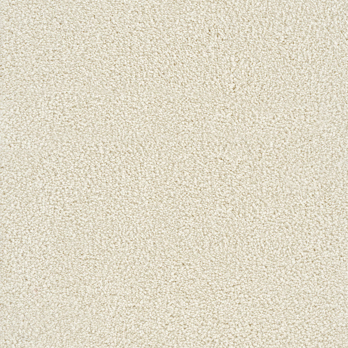 DreamWeaver - Star Struck - Carpet