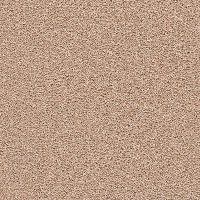 DreamWeaver - Star Struck - Carpet