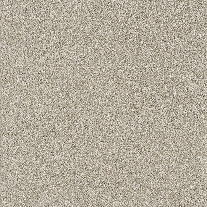 DreamWeaver - Star Struck - Carpet