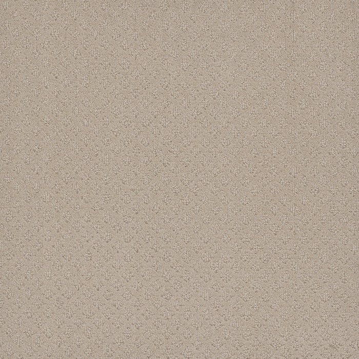 DreamWeaver - Stellar - Carpet