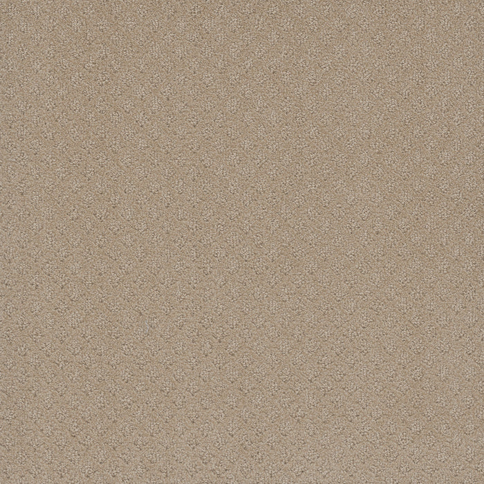 DreamWeaver - Stellar - Carpet