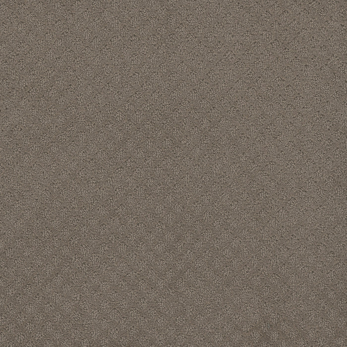 DreamWeaver - Stellar - Carpet