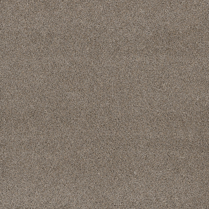 DreamWeaver - Stunning - Carpet