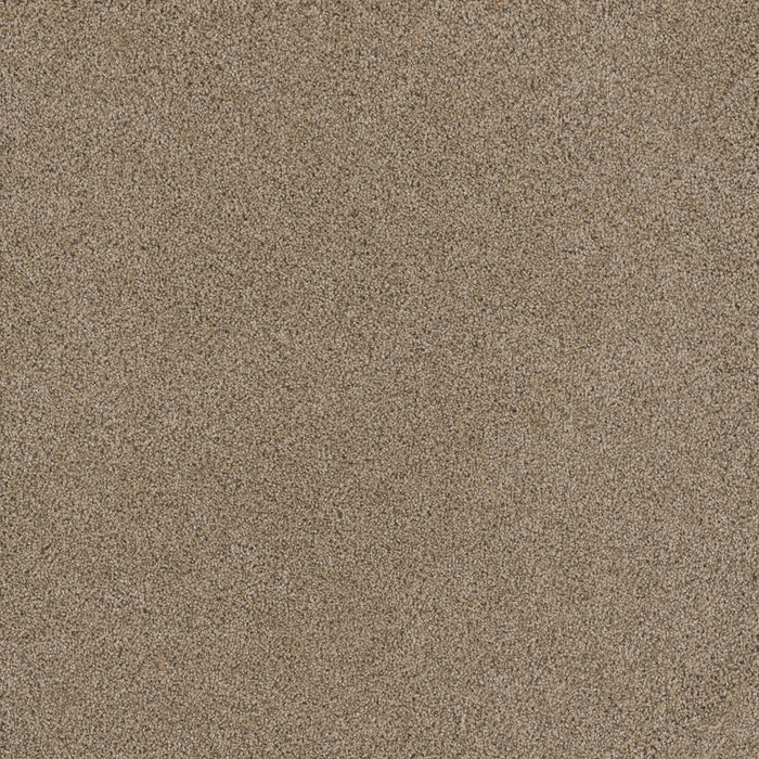 DreamWeaver - Stunning - Carpet