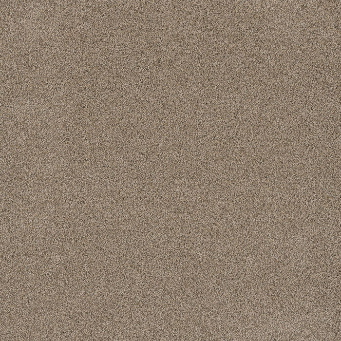 DreamWeaver - Stunning - Carpet