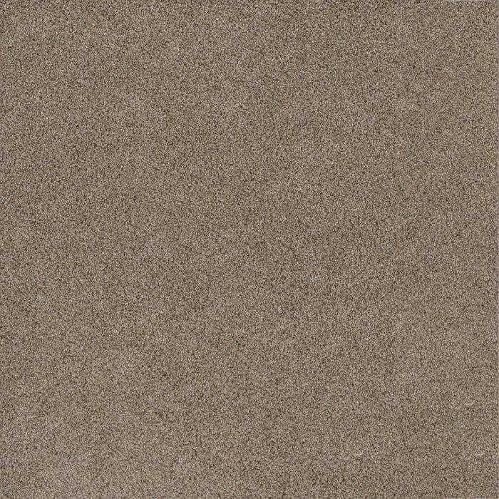 DreamWeaver - Stunning - Carpet