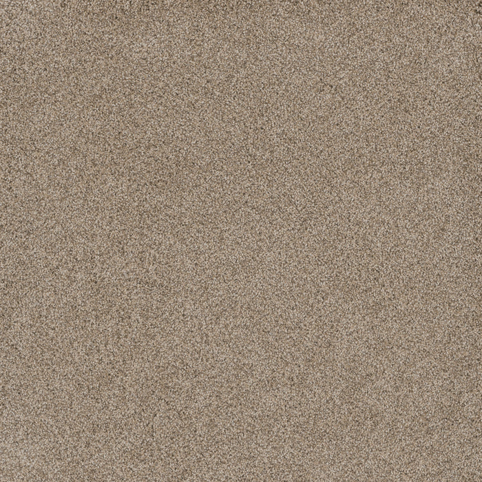 DreamWeaver - Stunning - Carpet