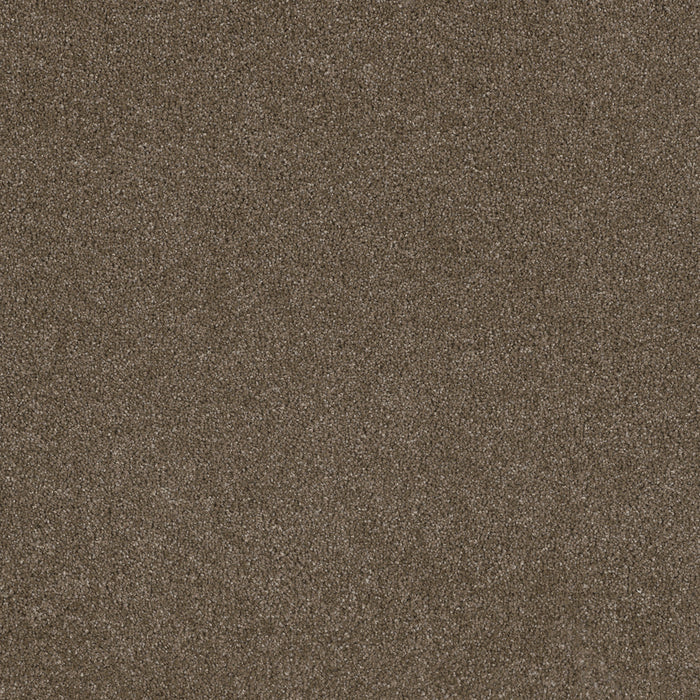 DreamWeaver - Stunning - Carpet