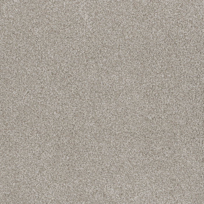 DreamWeaver - Stunning - Carpet