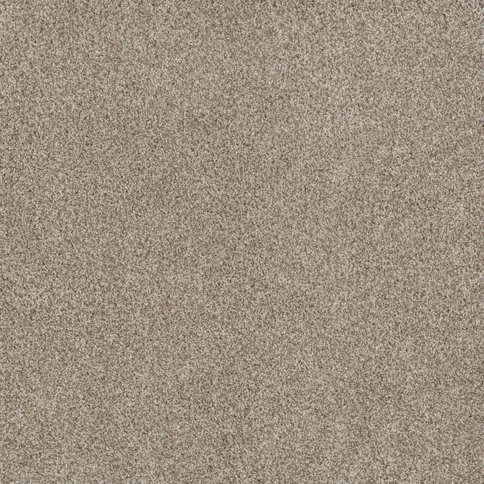 DreamWeaver - Stunning - Carpet