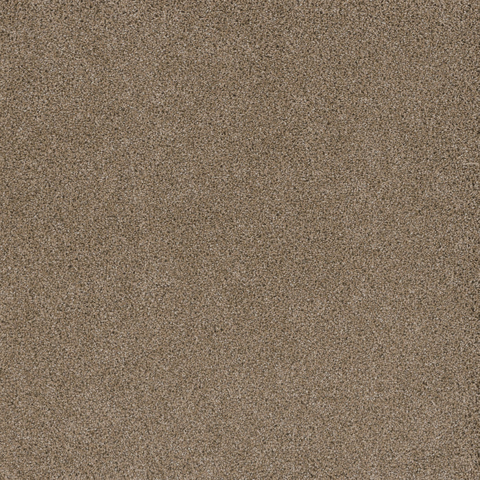 DreamWeaver - Stunning - Carpet