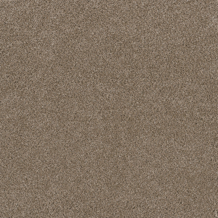 DreamWeaver - Stunning - Carpet