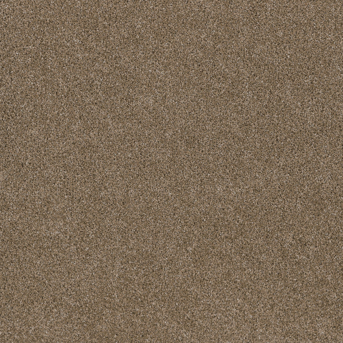 DreamWeaver - Stunning - Carpet