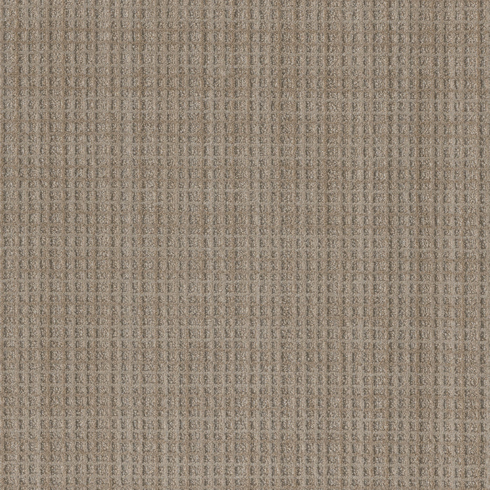 DreamWeaver - Suffolk - Carpet