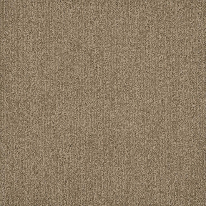 DreamWeaver - Surfside - Carpet