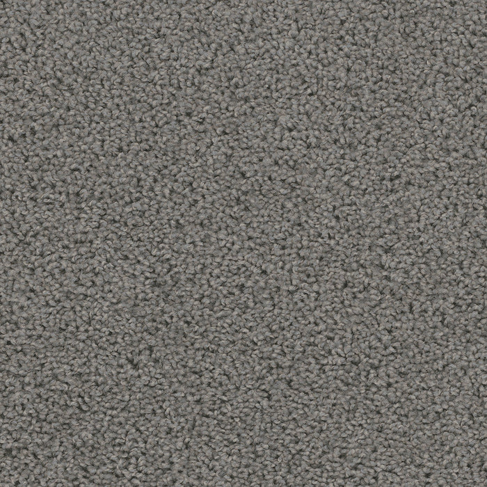 DreamWeaver - Sweepstakes - Carpet