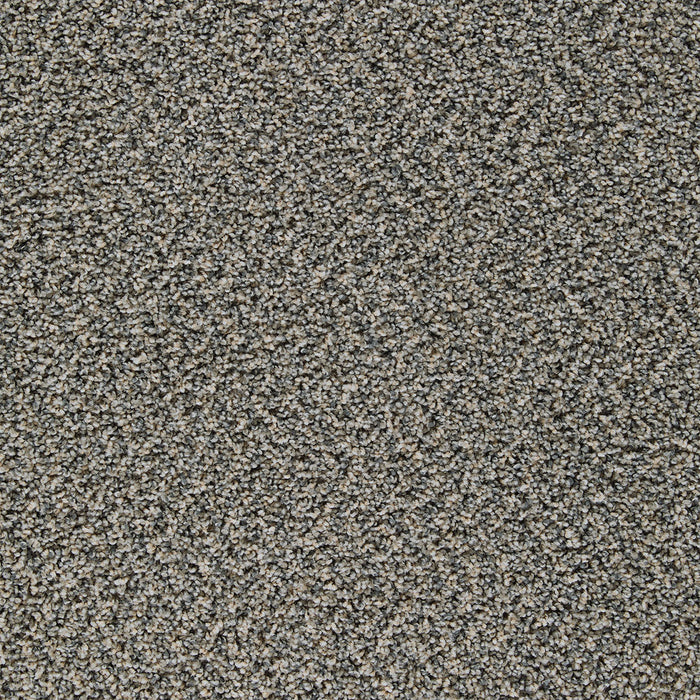 DreamWeaver - Sweepstakes - Carpet
