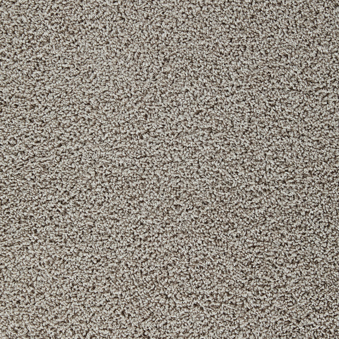 DreamWeaver - Sweepstakes - Carpet