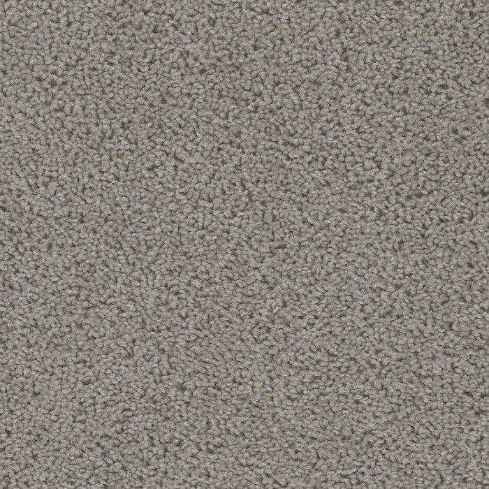 DreamWeaver - Sweepstakes - Carpet