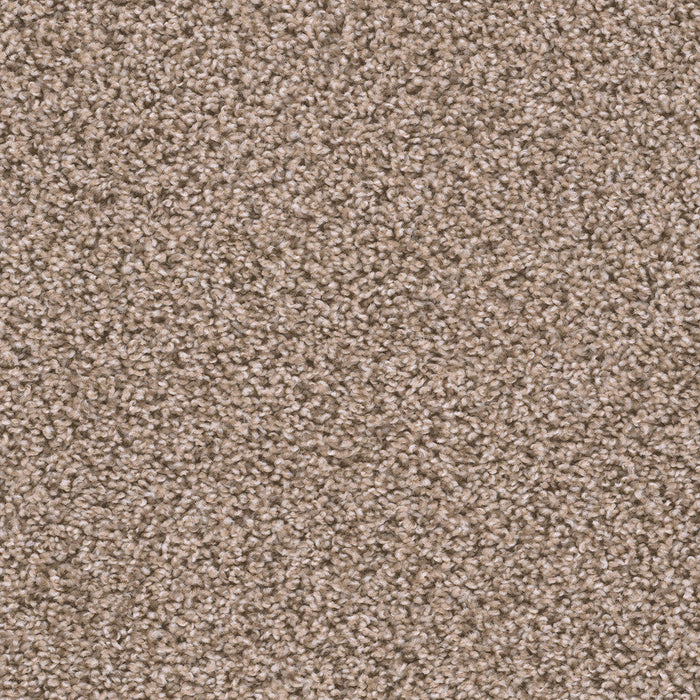 DreamWeaver - Sweepstakes - Carpet