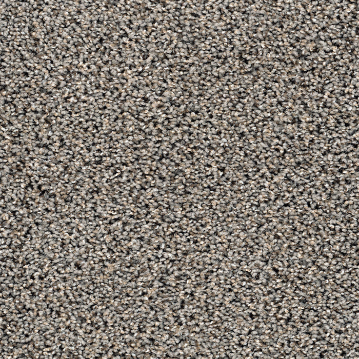 DreamWeaver - Sweepstakes - Carpet