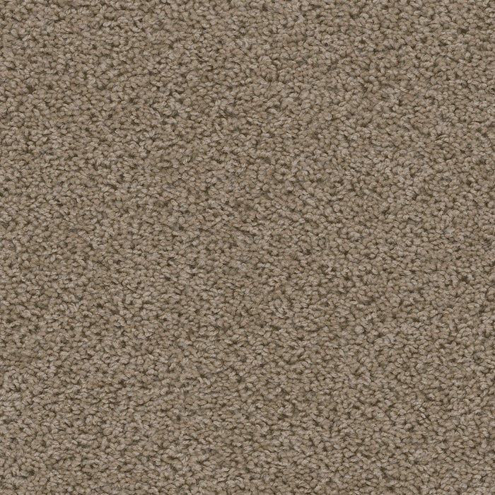 DreamWeaver - Sweepstakes - Carpet