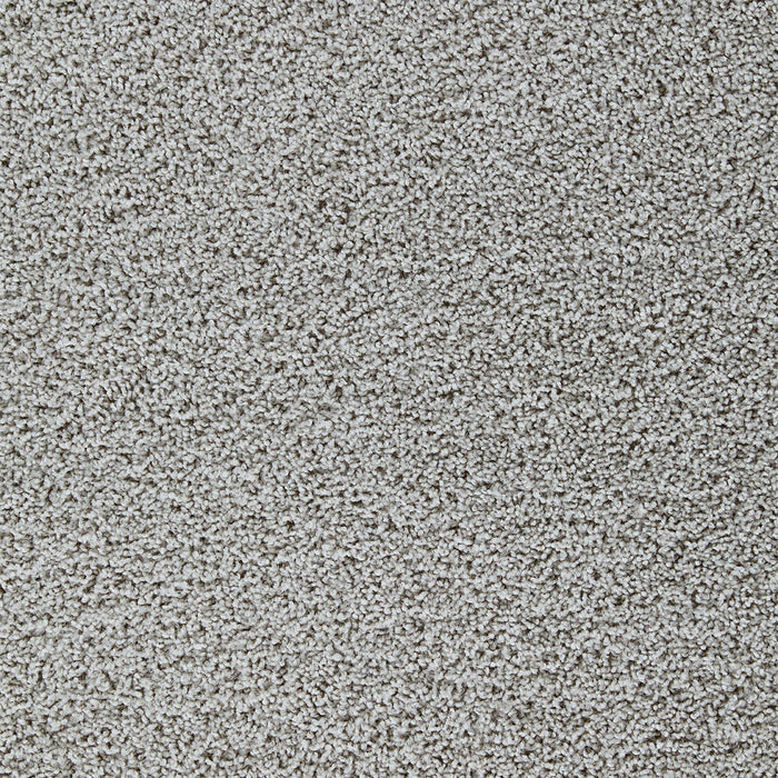 DreamWeaver - Sweepstakes - Carpet