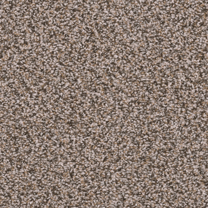 DreamWeaver - Sweepstakes - Carpet