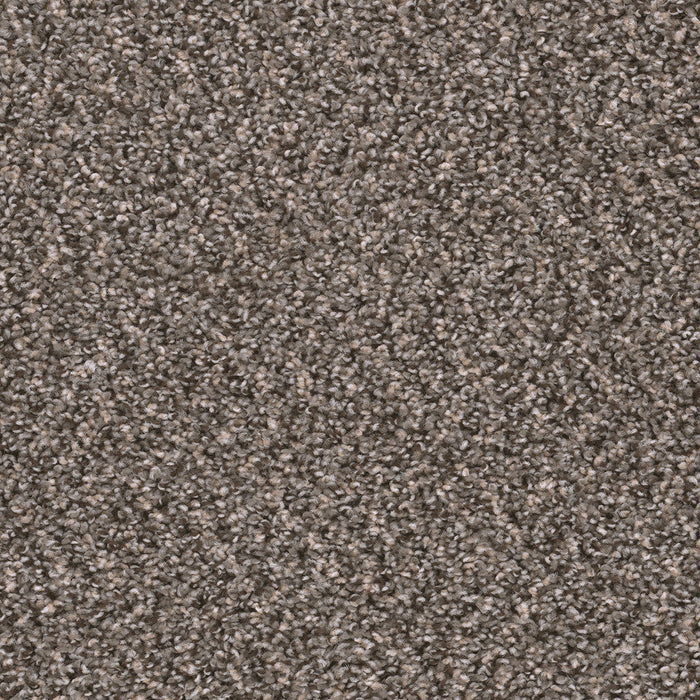 DreamWeaver - Sweepstakes - Carpet