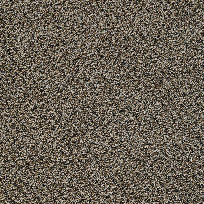 DreamWeaver - Sweepstakes - Carpet