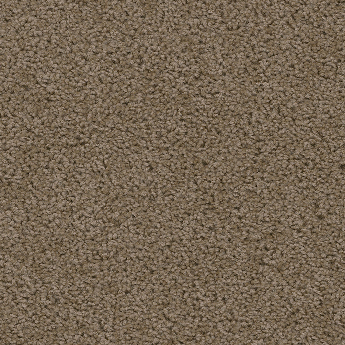 DreamWeaver - Sweepstakes - Carpet