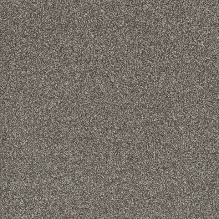 DreamWeaver - Titan III - Carpet