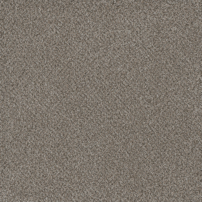 DreamWeaver - Titan III - Carpet