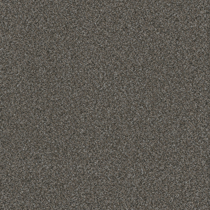 DreamWeaver - Titan III - Carpet