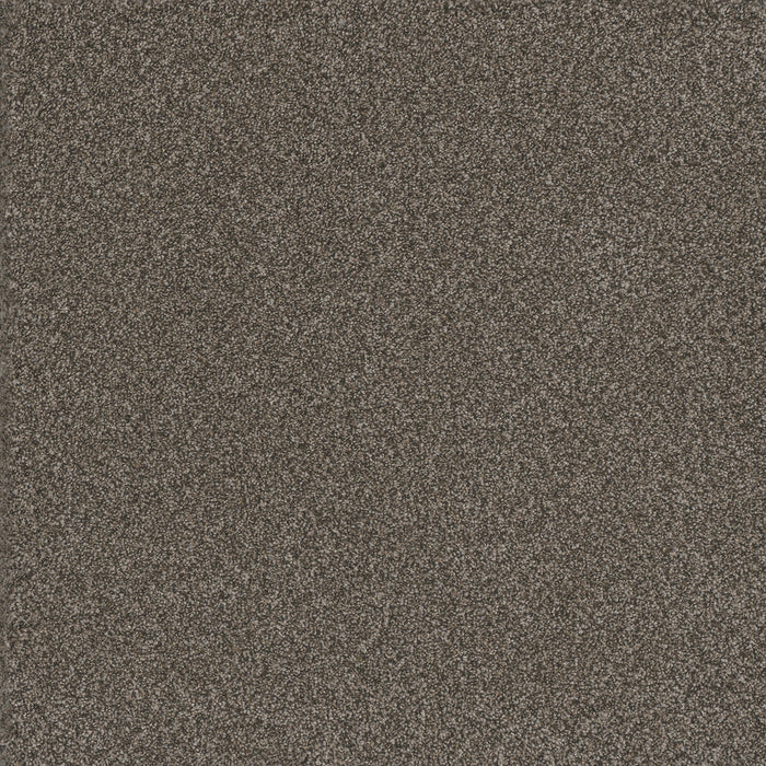 DreamWeaver - Titan III - Carpet