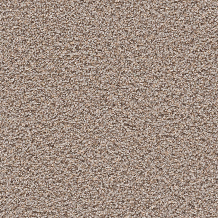 DreamWeaver - Tracker - Carpet