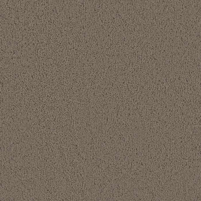 DreamWeaver - Tracker - Carpet